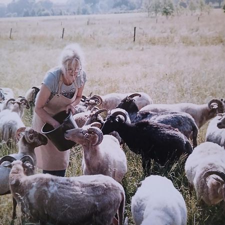 Pipowagen Elsebein Groningen Westerwolde Unieke Ligging Met Eigen Tuin En Vrij Uitzicht Over Veld Naar Natuurgebied Onstwedde Εξωτερικό φωτογραφία