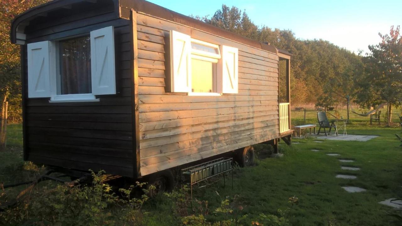 Pipowagen Elsebein Groningen Westerwolde Unieke Ligging Met Eigen Tuin En Vrij Uitzicht Over Veld Naar Natuurgebied Onstwedde Εξωτερικό φωτογραφία