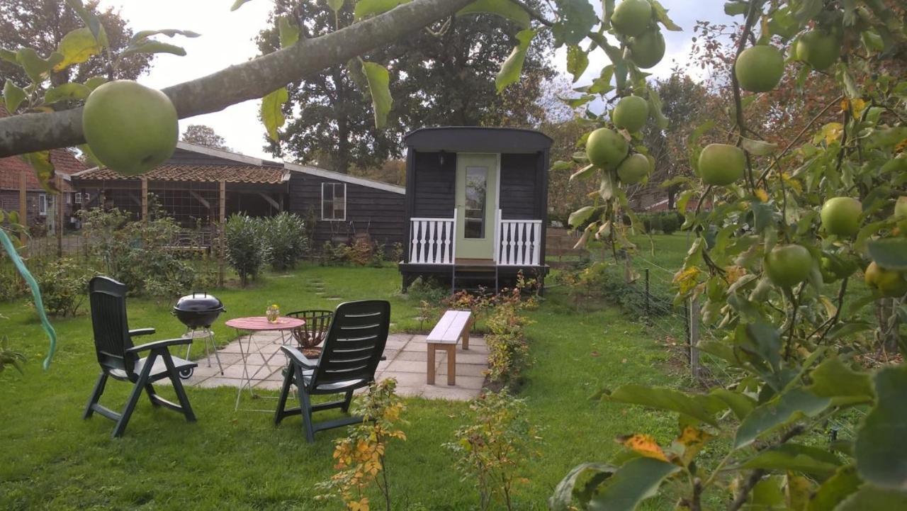 Pipowagen Elsebein Groningen Westerwolde Unieke Ligging Met Eigen Tuin En Vrij Uitzicht Over Veld Naar Natuurgebied Onstwedde Εξωτερικό φωτογραφία