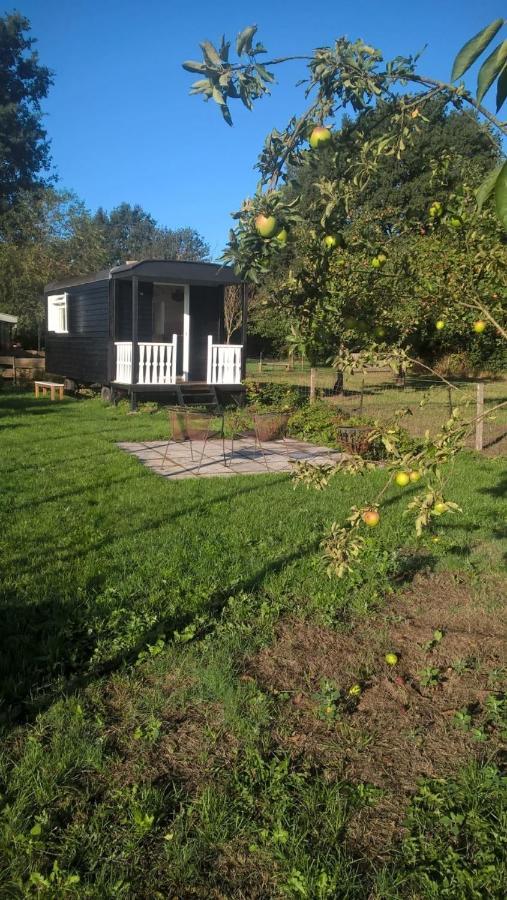 Pipowagen Elsebein Groningen Westerwolde Unieke Ligging Met Eigen Tuin En Vrij Uitzicht Over Veld Naar Natuurgebied Onstwedde Εξωτερικό φωτογραφία