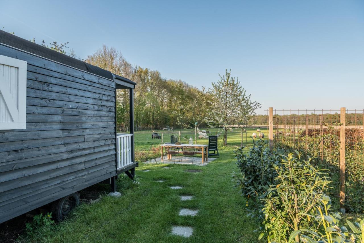 Pipowagen Elsebein Groningen Westerwolde Unieke Ligging Met Eigen Tuin En Vrij Uitzicht Over Veld Naar Natuurgebied Onstwedde Εξωτερικό φωτογραφία